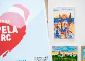 Aukcja w ramach akcji „Kapela Serc” – wsparcie dla Fundacji Podkarpackie Hospicjum dla Dzieci [ZDJĘCIA]