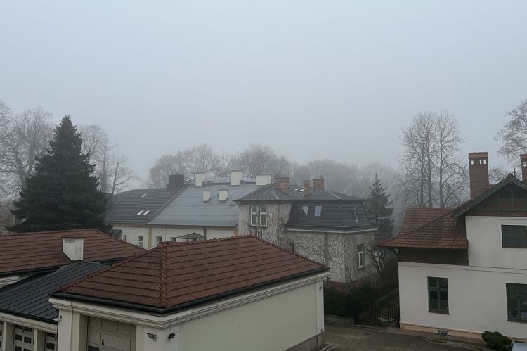 Trudne warunki na&nbsp;drogach. IMGW ostrzega przed&nbsp;gęstą mgłą