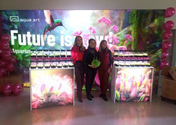 Wyhodowano około 50 gatunków roślin owadożernych rozmnożonych metodą tzw. kultur tkankowych [ZDJĘCIA]