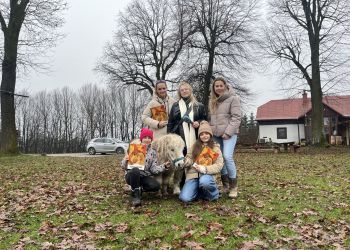 Od&nbsp;stajni po&nbsp;Hobby Horse. Jeździecka pasja młodych amazonek