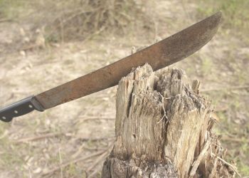 Uczeń tarnobrzeskiej szkoły przyszedł na lekcje z maczetą