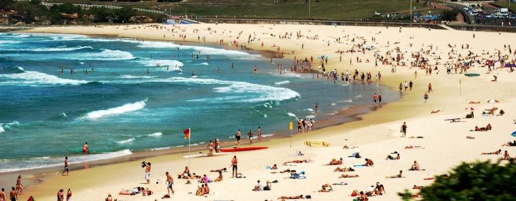 [AKTUALIZACJA] Atak terrorystów na plaży w Australii, 12 ofiar śmiertelnych