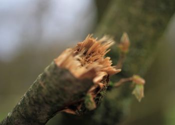 Fot. pixabay.com / ilustracyjne