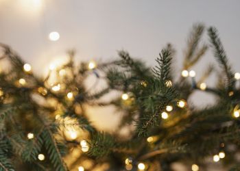 DIM FEST Kolyada w&nbsp;Rzeszowie. Polsko-ukraińskie kolędowanie