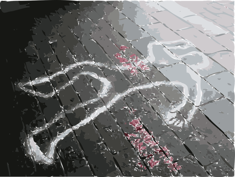 Odontologia kryminalistyczna pomaga w wykryciu sprawców przestępstw 1 - Polskie Radio Rzeszów Odontologia kryminalistyczna pomaga w wykryciu sprawców przestępstw