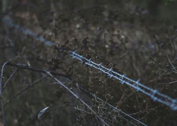 Ponad 180 migrantów przedostało się podkopem pod granicą polsko-białoruską. Ponad 130 zatrzymano