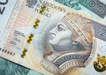 W&nbsp;tym roku wypłacono 10,7 mln zł z&nbsp;Funduszu Gwarantowanych Świadczeń Pracowniczych