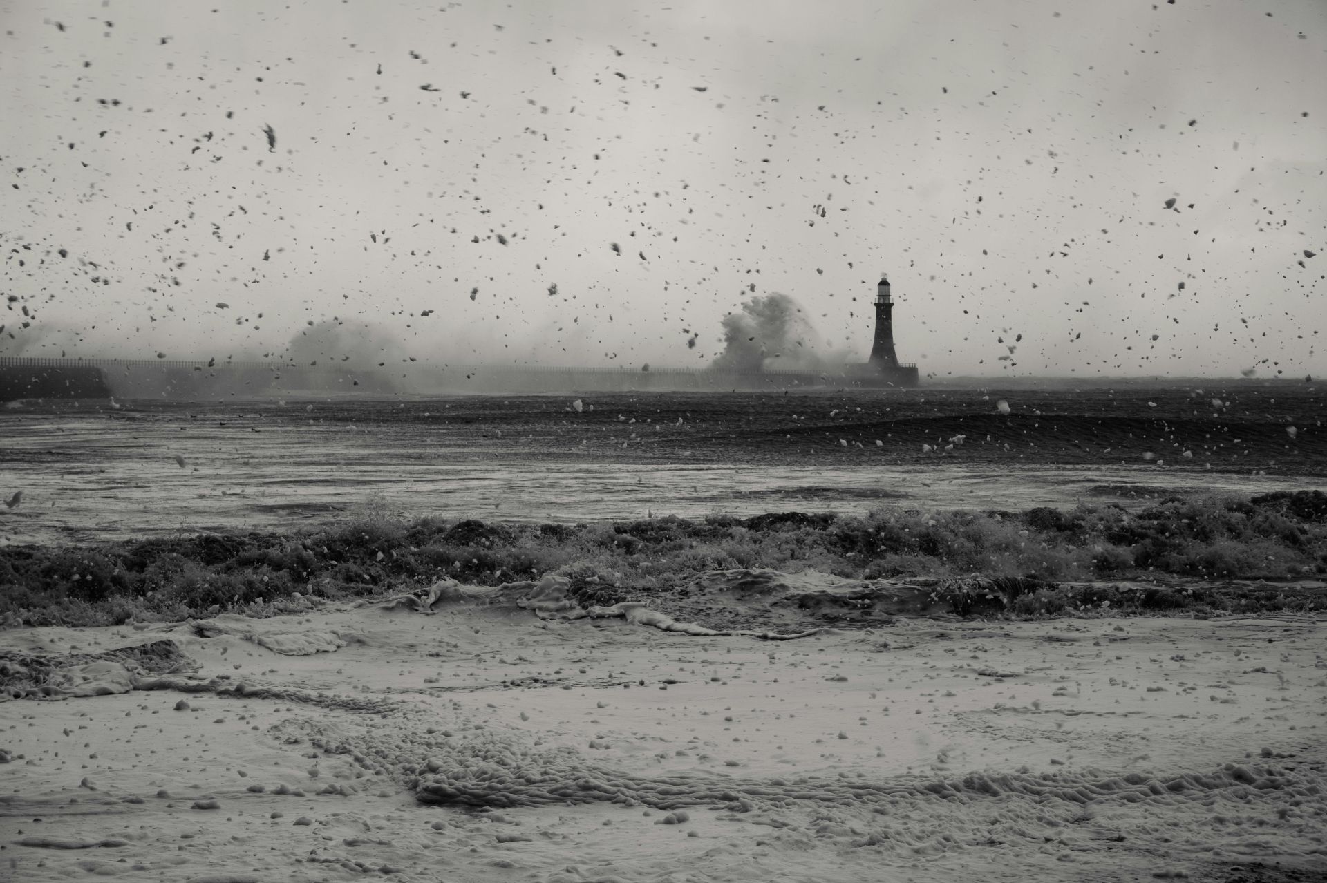 Sztorm zakłóca powroty ze&nbsp;świąt. Odwołano promy do&nbsp;Polski