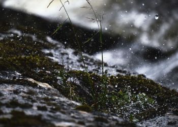 Opady marznące na&nbsp;Podkarpaciu. IMGW ostrzega przed&nbsp;gołoledzią