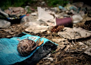 Śledztwo w sprawie nielegalnego zakopywania odpadów w gminie Jawornik Polski