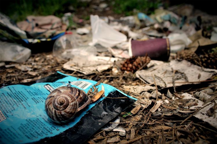 Śledztwo w sprawie nielegalnego zakopywania odpadów w gminie Jawornik Polski 1 - Polskie Radio Rzeszów Śledztwo w sprawie nielegalnego zakopywania odpadów w gminie Jawornik Polski