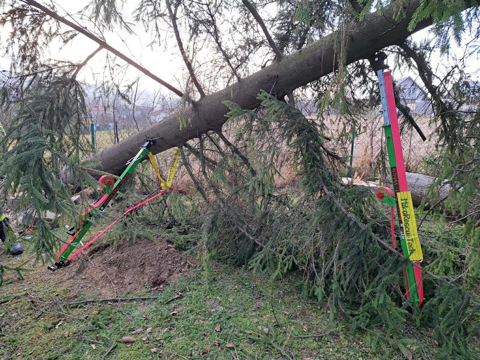 Wypadek podczas wycinki w&nbsp;Nadolu. Mężczyzna przygnieciony przez&nbsp;drzewo