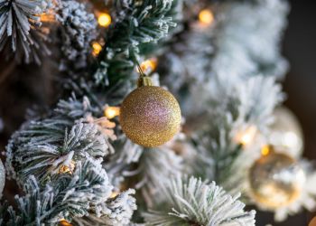 Wigilia dla bezdomnych i&nbsp;ubogich w&nbsp;Rzeszowie. Wspólne święta dla potrzebujących