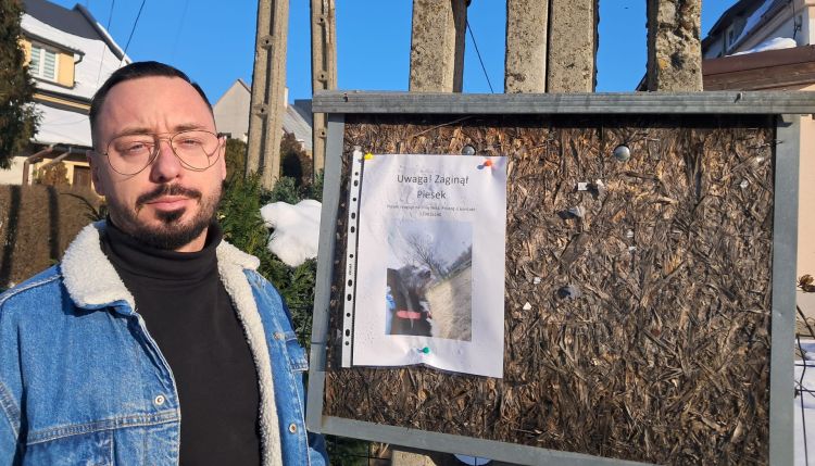 Zaginęła Nela. W&nbsp;Sylwestra w&nbsp;regionie uciekło wiele psów