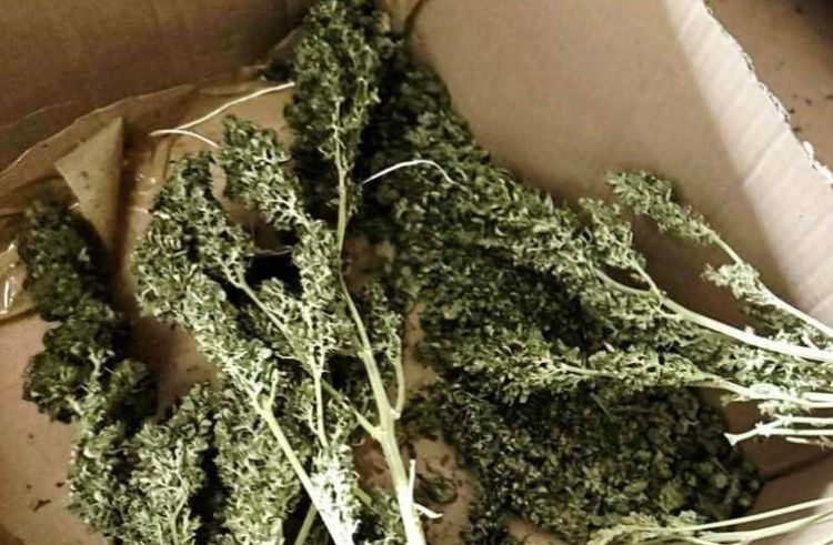 31-letni mieszkaniec Krosna zatrzymany za&nbsp;wytwarzanie i&nbsp;posiadanie znacznej ilości narkotyków