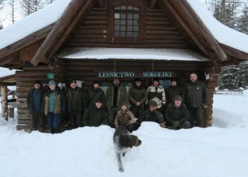 Tropienie rysi w&nbsp;Bieszczadach [ZDJĘCIA]