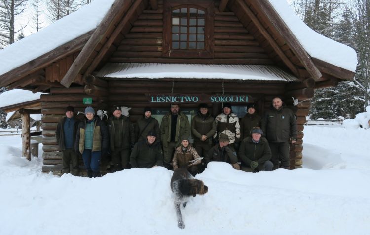 Tropienie rysi w&nbsp;Bieszczadach [ZDJĘCIA]