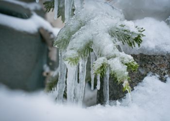 Marznące opady i&nbsp;gołoledź na&nbsp;Podkarpaciu. IMGW ostrzega przed&nbsp;śliskimi drogami