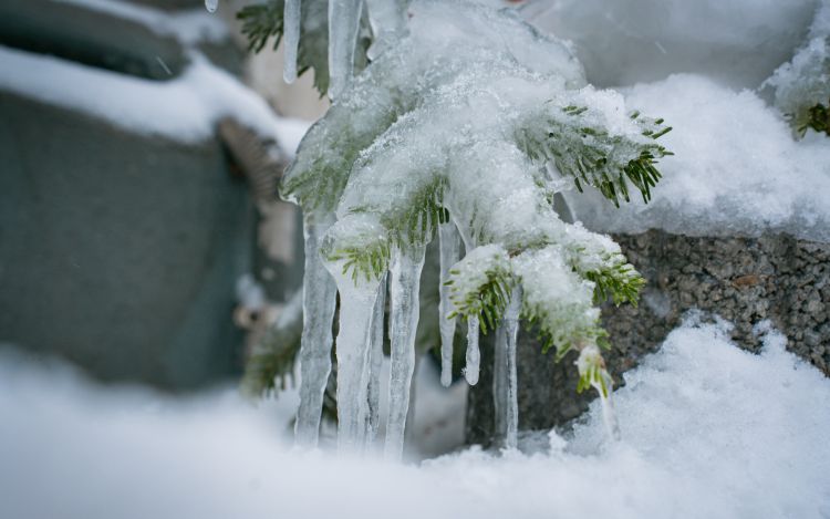 Marznące opady i&nbsp;gołoledź na&nbsp;Podkarpaciu. IMGW ostrzega przed&nbsp;śliskimi drogami