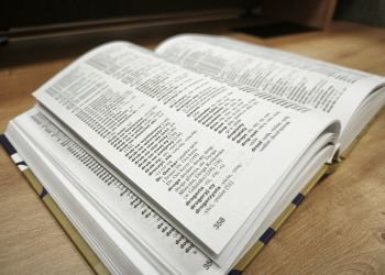 Znamy Słowo Roku 2025! Kapituła zdecydowała