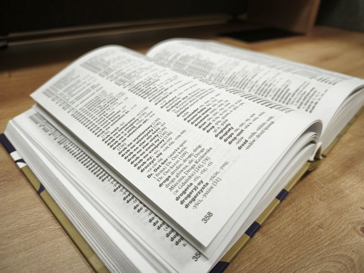 Znamy Słowo Roku 2025! Kapituła zdecydowała