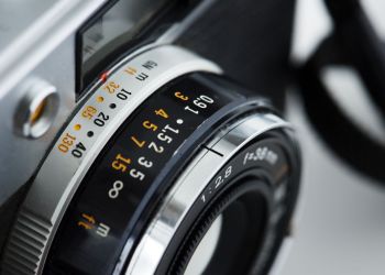 Rozstrzygnięta XXV edycja konkursu „Leśne Fotografie” [ZDJĘCIA]