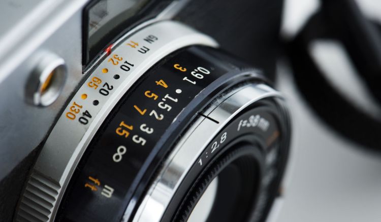 Rozstrzygnięta XXV edycja konkursu „Leśne Fotografie” [ZDJĘCIA]