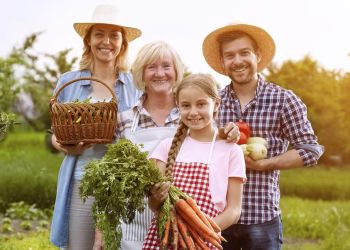 Dobrostan rolnika pod&nbsp;lupą KRUS – zdrowie i&nbsp;bezpieczeństwo w&nbsp;gospodarstwach