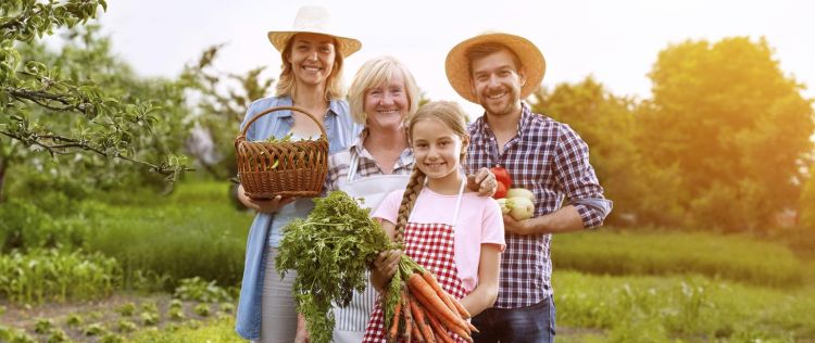 Dobrostan rolnika pod&nbsp;lupą KRUS – zdrowie i&nbsp;bezpieczeństwo w&nbsp;gospodarstwach