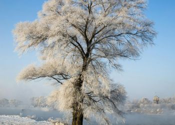 Silny mróz w&nbsp;Rzeszowie. Gdzie szukać pomocy?