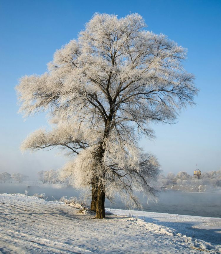 Silny mróz w Rzeszowie. Gdzie szukać pomocy? 1 - Polskie Radio Rzeszów Silny mróz w Rzeszowie. Gdzie szukać pomocy?