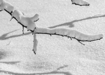 Arktyczny mróz nad&nbsp;Podkarpaciem. Nawet -26 stopni