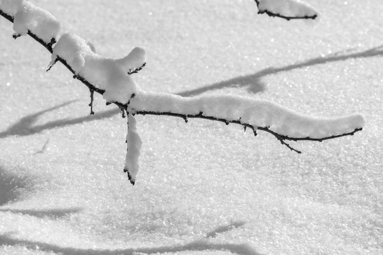 Arktyczny mróz nad&nbsp;Podkarpaciem. Nawet -26 stopni
