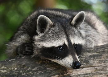 Nic, co obce, nie jest nam ludzkie? 3 - Polskie Radio Rzeszów Nic, co obce, nie jest nam ludzkie?