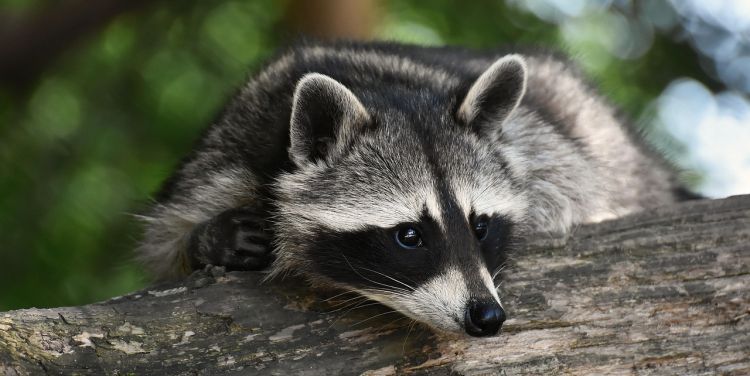 Nic, co&nbsp;obce, nie&nbsp;jest nam ludzkie?