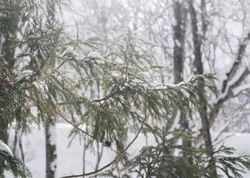 Trudne warunki pogodowe na Podkarpaciu 4 - Polskie Radio Rzeszów Trudne warunki pogodowe na Podkarpaciu