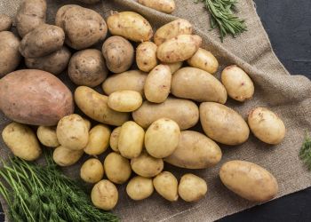 Od&nbsp;kolonizacji józefińskiej do&nbsp;współczesnej kuchni regionalnej. Historia „szwabów” – regionalnego dania Roztocza