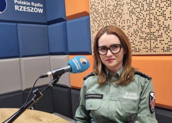 E. Chabowska: Już od&nbsp;ośmiu lat z&nbsp;usługi e-PIT mogą korzystać wszyscy podatnicy