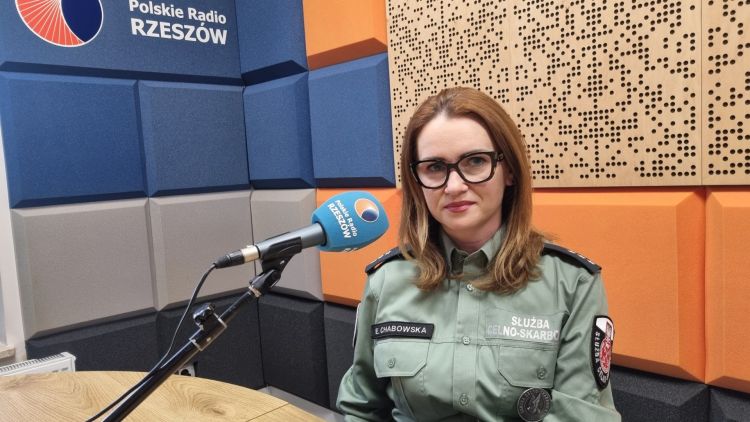 E. Chabowska: Już od ośmiu lat z usługi e-PIT mogą korzystać wszyscy podatnicy 1 - Polskie Radio Rzeszów E. Chabowska: Już od ośmiu lat z usługi e-PIT mogą korzystać wszyscy podatnicy