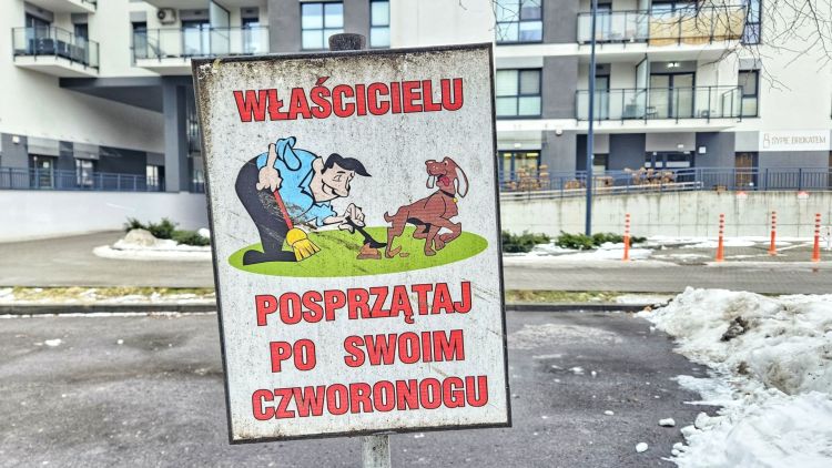 Rzeszów pełen psich odchodów. Straż Miejska przypomina o&nbsp;obowiązkach właścicieli