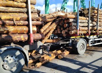 Kłody drewna spadły na&nbsp;moście w&nbsp;Tryńczy i&nbsp;uszkodziły metalowe elementy