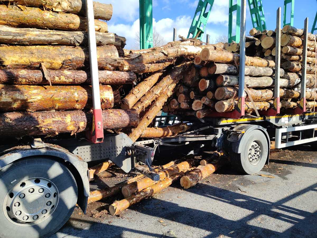 Kłody drewna spadły na moście w Tryńczy i uszkodziły metalowe elementy 18 - Polskie Radio Rzeszów Kłody drewna spadły na moście w Tryńczy i uszkodziły metalowe elementy - Polskie Radio Rzeszów