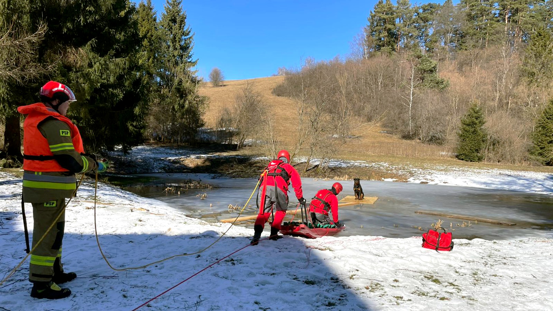 Strażacy uratowali psa, który utknął na zamarzniętym stawie - Polskie Radio Rzeszów