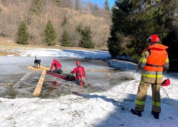 Strażacy uratowali psa, który utknął na zamarzniętym stawie 3 - Polskie Radio Rzeszów Strażacy uratowali psa, który utknął na zamarzniętym stawie