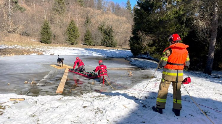 Strażacy uratowali psa, który utknął na zamarzniętym stawie 1 - Polskie Radio Rzeszów Strażacy uratowali psa, który utknął na zamarzniętym stawie