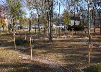 Karpacki Ogród Deszczowy w Jaśle już otwarty. Zielona inwestycja przy szpitalu z funduszy UE 4 - Polskie Radio Rzeszów Karpacki Ogród Deszczowy w Jaśle już otwarty. Zielona inwestycja przy szpitalu z funduszy UE