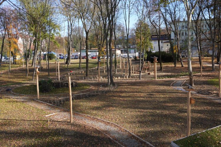 Karpacki Ogród Deszczowy w&nbsp;Jaśle już otwarty. Zielona inwestycja przy szpitalu z&nbsp;funduszy UE