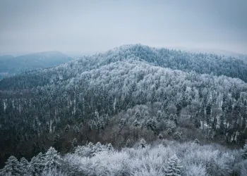 W Bieszczadach ograniczona widoczność i śliskie szlaki 2 - Polskie Radio Rzeszów W Bieszczadach ograniczona widoczność i śliskie szlaki
