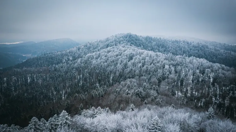W&nbsp;Bieszczadach ograniczona widoczność i&nbsp;śliskie szlaki