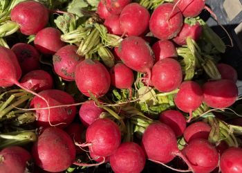 Wiosna tuż-tuż. Ogrodnicy ruszają do&nbsp;sklepów